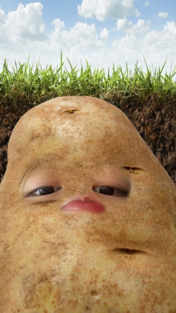 哈哈呸口