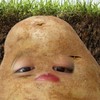 哈哈呸口