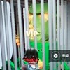 フォートナイトブレインロッドSTEALゴーアップ、ファイト交換場