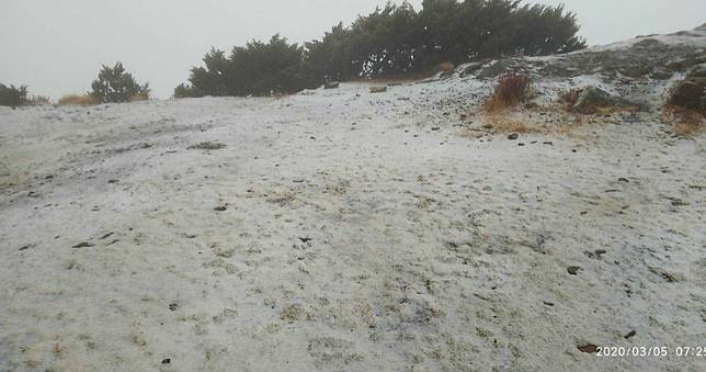 玉山下雪了！節氣「驚蟄」　未來7天一日一變「乍暖還寒」