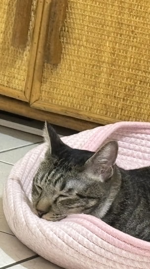 多的記事本
