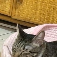 多的記事本