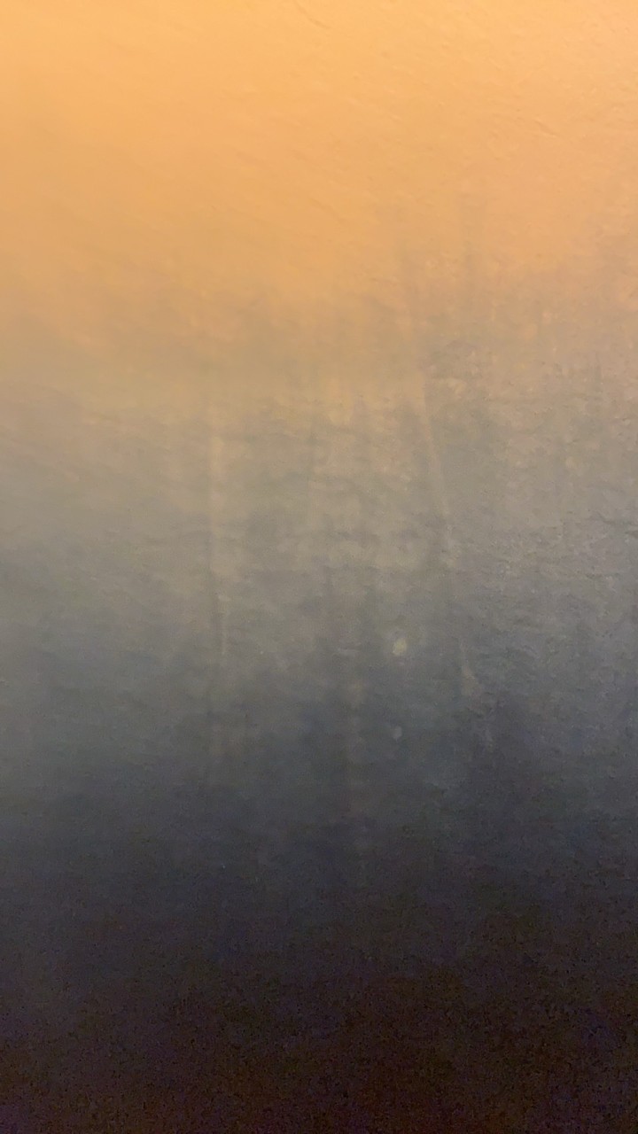 目利きの活—現地直送