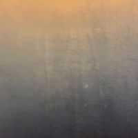 目利きの活—現地直送