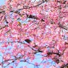 ブレイキングダウンYouTube雑談へずま