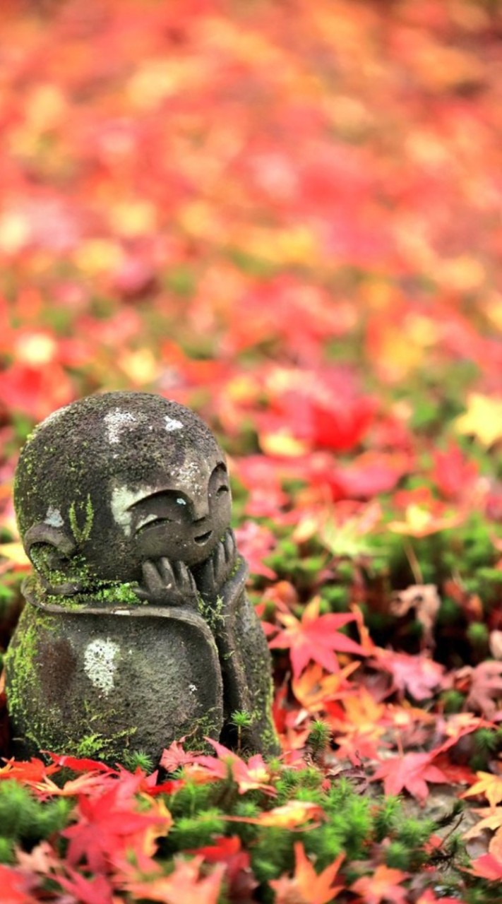 彫刻している人語ろう( ᐢᢦᐢ )