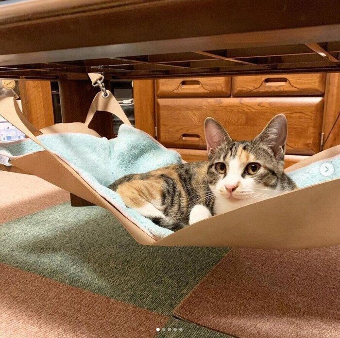 オンラインストア在庫 ひあん様専用 猫のハンモック ハンドメイド 