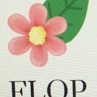 Flop airlines international 💅❤️💕