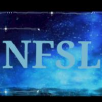 フォトナNFSLクラン【天空城】