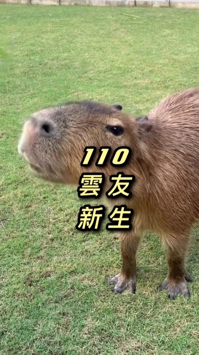 110雲友新生