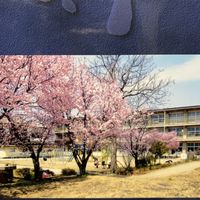 通明小2003年4年生 タイムカプセル用