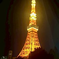 プロトレーダー裏配信