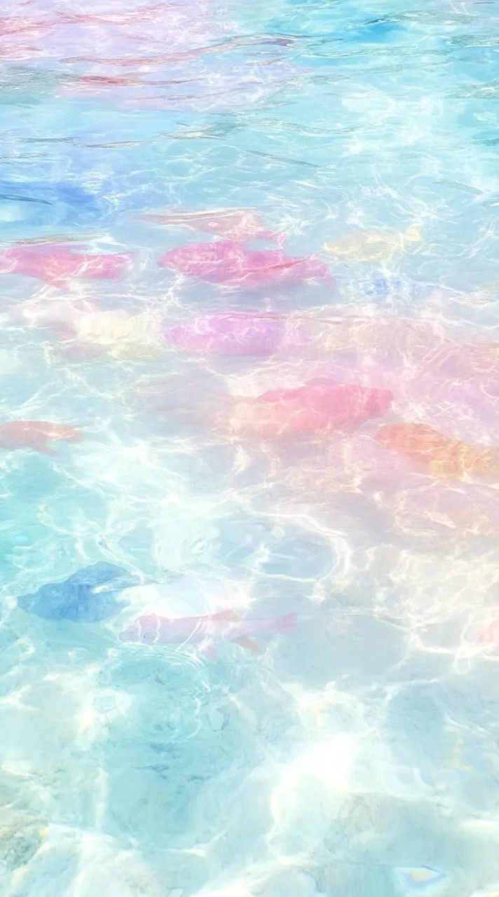 映画作り隊