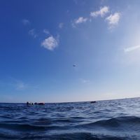 (日期暫未確定)自由島嶼-體驗大海分享會(線上)