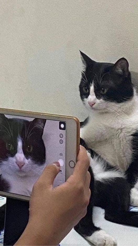 บลาๆ