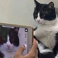 บลาๆ