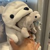 阿寧日本代購轉移中