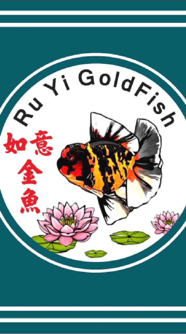 如意金魚