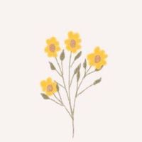Hello Baby | 韓國童裝｜質感選物