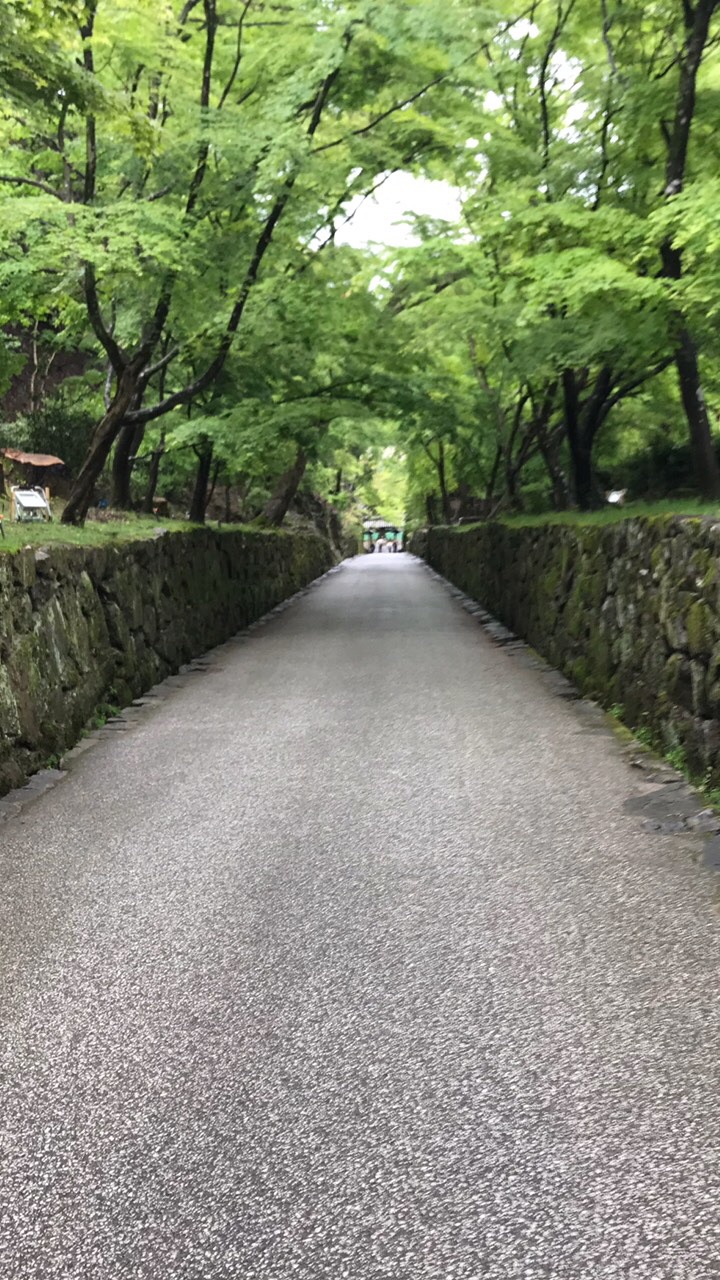 旧お寺の本堂