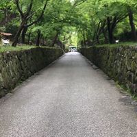 お寺の本堂