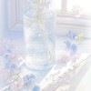 𓂃𓈒𓐍‧˚₊•追星人の專屬 ‧₊˚⊹ 𓂃𓈒𓐍