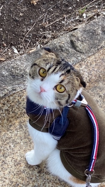 おやっとさ〜！！mmm☆