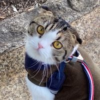 おやっとさ〜！！mmm☆