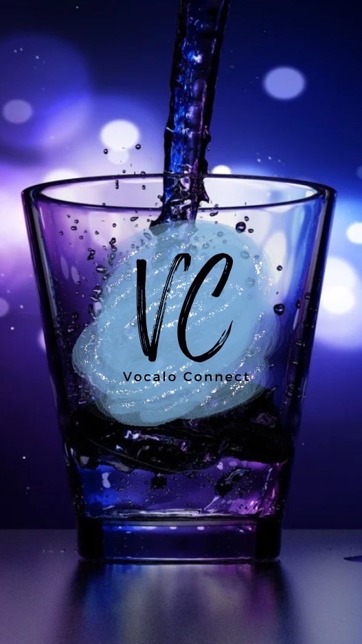 VOCALO CONNECT -ウイム城-
