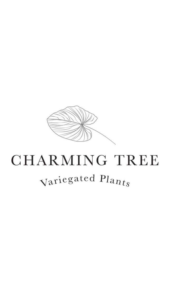 Charmingtree 🌿