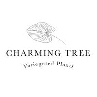 Charmingtree 🌿