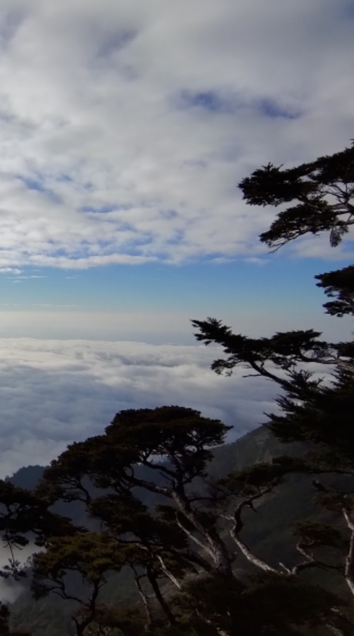 愛貝山 登山爬山 商業或自組 窗口問與答