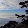 愛貝山 登山爬山 商業或自組 窗口問與答 臨時群