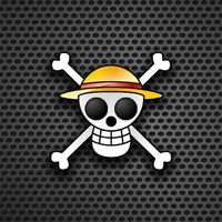 Fc Onepiece