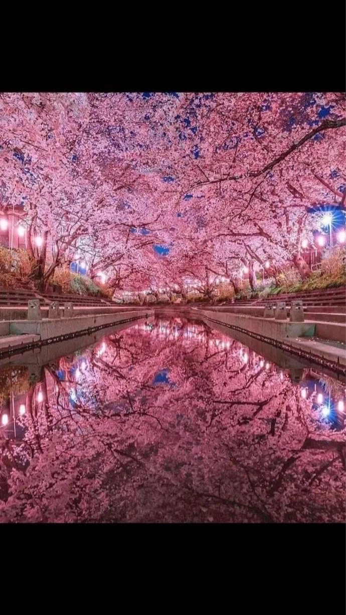 🌈🌈虹色の毎日を🌈🌈楽しく