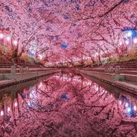 🌈🌈虹色の毎日を🌈🌈楽しく