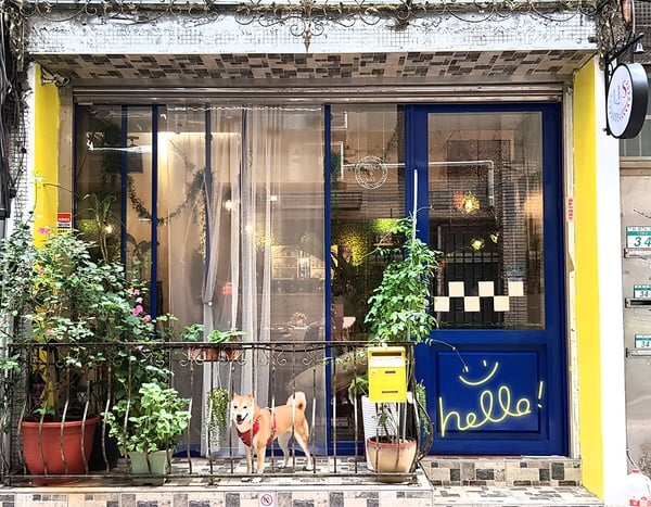 素食餐酒館推薦：L.I.S 2020v 蔬食餐酒舘