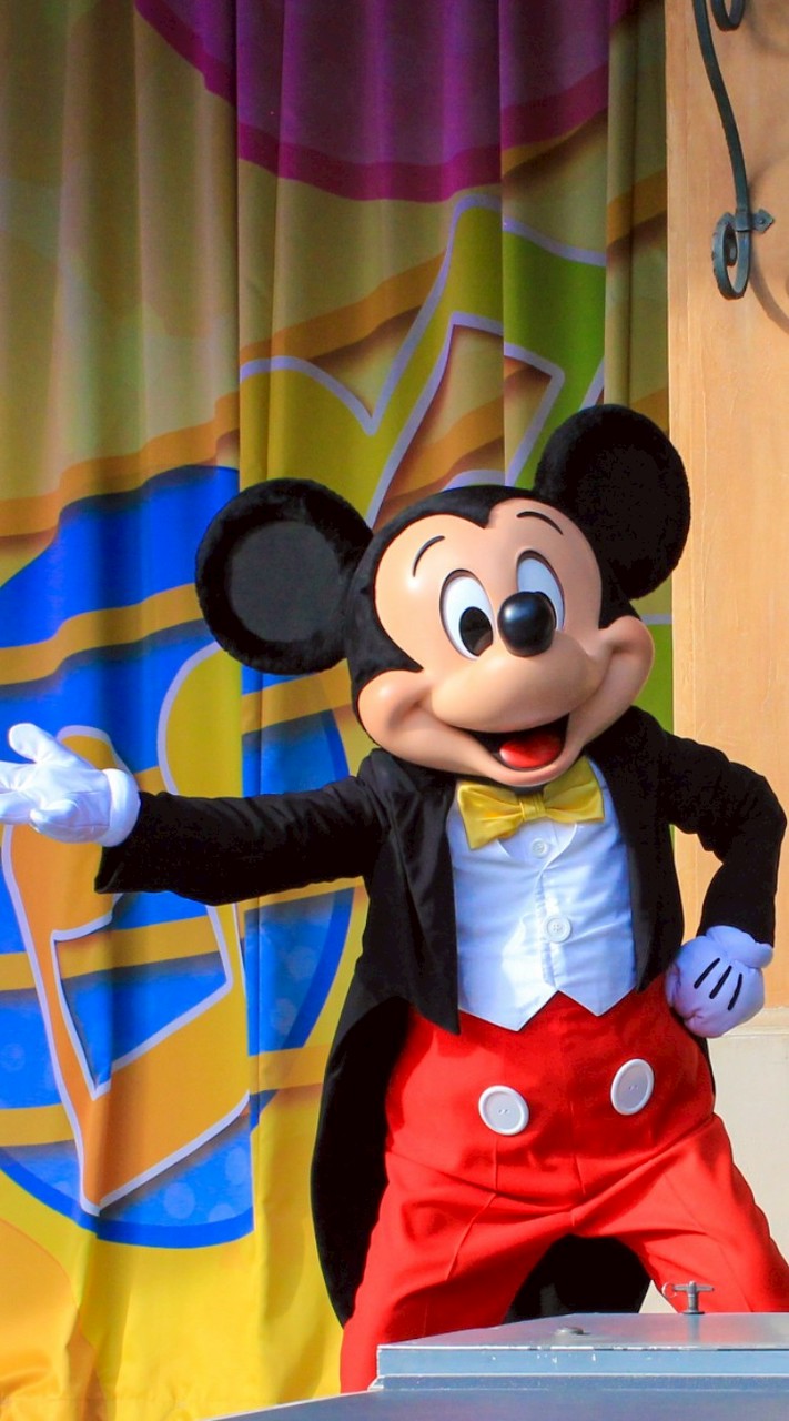 ディズニー好きだけど遠方の人(全国版)