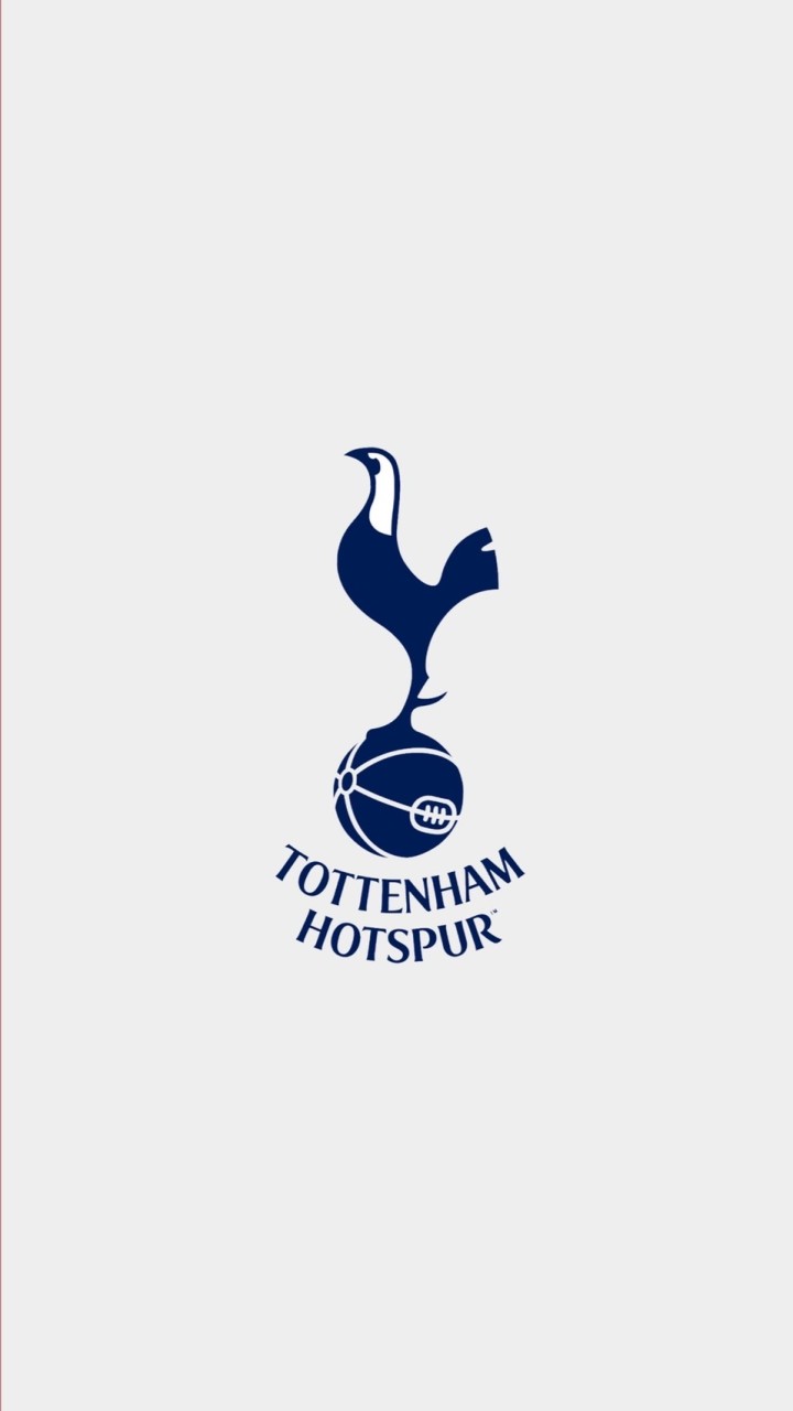 トッテナム Tottenhum Hotspur FC 🏴󠁧󠁢󠁥󠁮󠁧󠁿 (プレミアリーグ EPL)