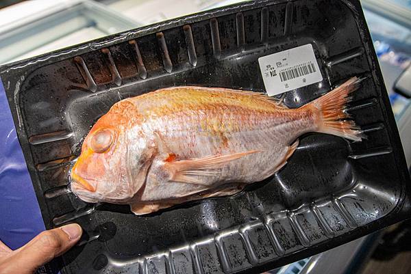 【宜蘭景點】溪和水產觀光工廠-2021年全新開幕！好玩又有趣的漫畫式簡介，多種免費海鮮試吃，飯糰ＤＩＹ與現煮海鮮ＤＩＹ活動玩不膩，美味多種魚料理，門票全抵消費的必玩室內景點