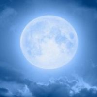 🌛月亮美眉全國按摩舒壓分享群