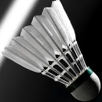 🏸羽有榮焉羽球團🏸