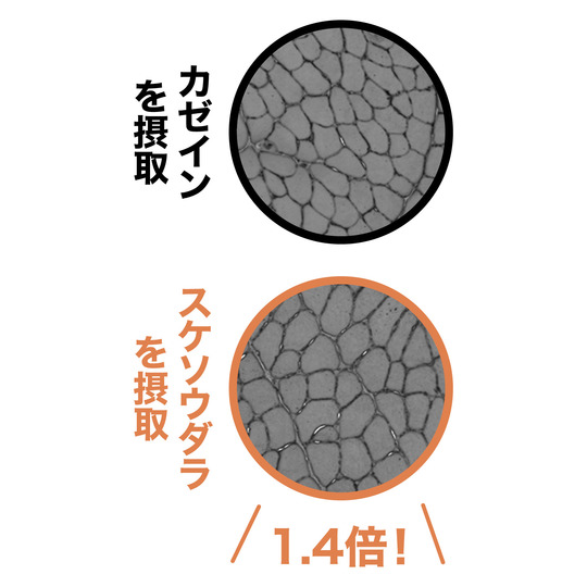 ケニアの勃起不全を治療する場所