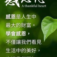妙招
