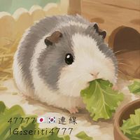 47777🇯🇵🇰🇷連線群✨