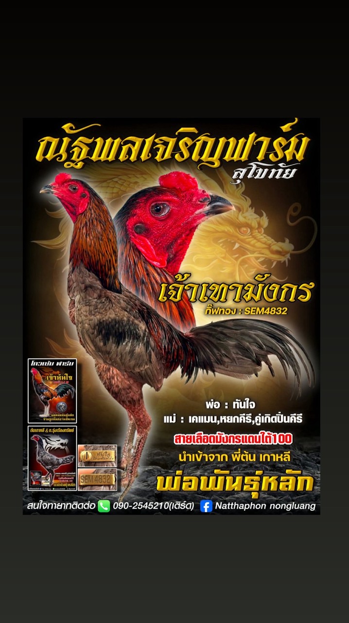 ณัฐพลเจริญฟาร์ม 🐉