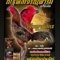 ณัฐพลเจริญฟาร์ม 🐉