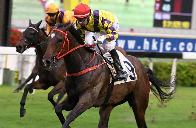 Champion S Way Caps Off Near Perfect Season And Stakes Claim For