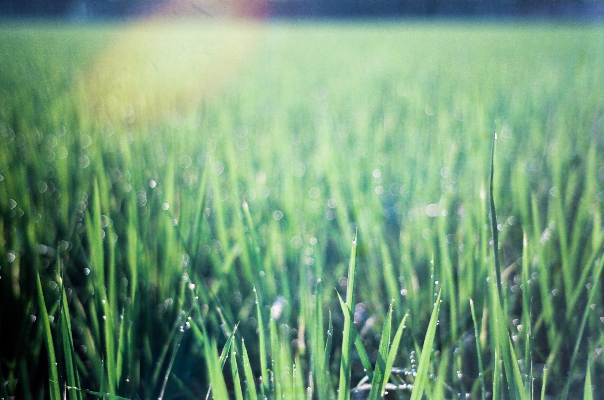 食農教育-妳好南搞-南國微醺-01