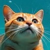 猫ニャンLove＆雑談🆗